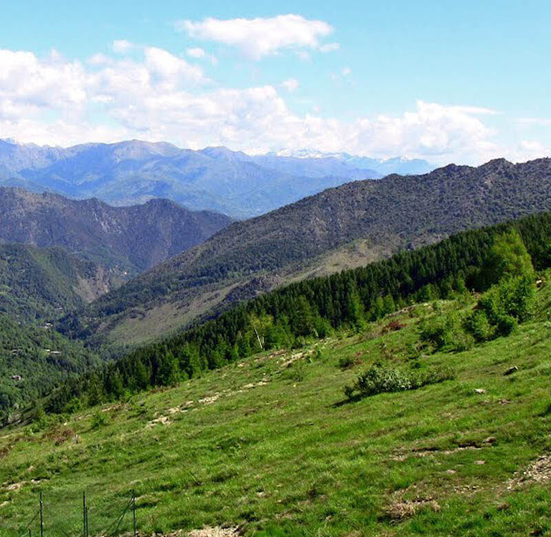 colle_del_lys